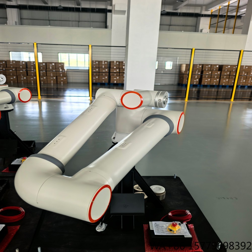 Heavy Duty FR20 Industrial Cob - Industrial Robot Arm 20Kg Payload ulasan dan harga