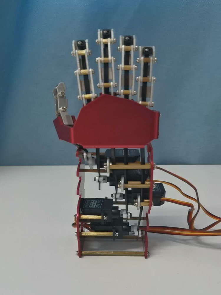 5 DOF Robotic Hand Humanoid Fi - Robot Arm 5 Dof Servo ulasan dan harga
